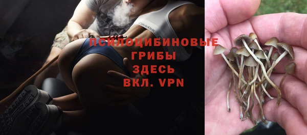 мяу мяу кристалл Липки